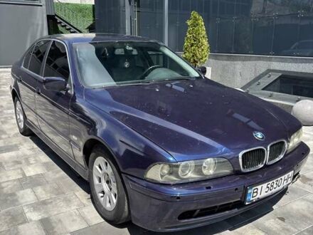 БМВ 5 Серия 2001 в Борисполе на Automoto.ua Синий БМВ 5 Серия, объемом двигателя 2.5 л и пробегом 355 тыс. км за 4499 $, фото 1 на Automoto.ua