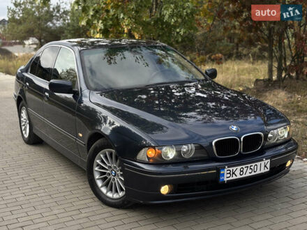БМВ 5 Серия 2002 в Ровно на Automoto.ua Синий БМВ 5 Серия, объемом двигателя 2.5 л и пробегом 409 тыс. км за 6499 $, фото 1 на Automoto.ua