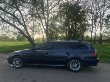 Синий БМВ 5 Серия, объемом двигателя 2.5 л и пробегом 280 тыс. км за 2700 $, фото 1 на Automoto.ua