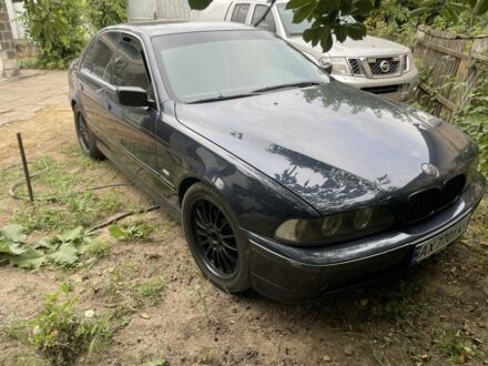 БМВ 5 Серия 2002 в Никополе на Automoto.ua Синий БМВ 5 Серия, объемом двигателя 2.5 л и пробегом 374 тыс. км за 4300 $, фото 1 на Automoto.ua