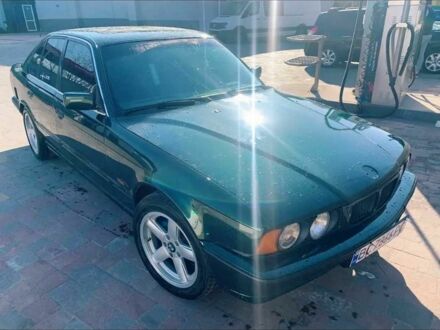 БМВ 5 Серія 1995 у Городке на Automoto.ua Зелений БМВ 5 Серія, об'ємом двигуна 2.5 л та пробігом 280 тис. км за 3000 $, фото 1 на Automoto.ua