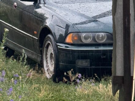 БМВ 5 Серия 1997 в Краматорске на Automoto.ua Зеленый БМВ 5 Серия, объемом двигателя 2 л и пробегом 390 тыс. км за 4700 $, фото 1 на Automoto.ua