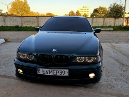 БМВ 5 Серия 2001 в Черноморске (Ильичевске) на Automoto.ua Зеленый БМВ 5 Серия, объемом двигателя 0 л и пробегом 281 тыс. км за 5099 $, фото 1 на Automoto.ua