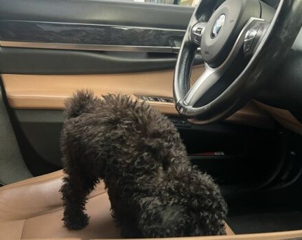 Черный БМВ 7 Серия, объемом двигателя 3 л и пробегом 199 тыс. км за 14000 $, фото 7 на Automoto.ua