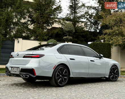 Сірий БМВ 7 Серія, об'ємом двигуна 4.39 л та пробігом 24 тис. км за 118900 $, фото 24 на Automoto.ua