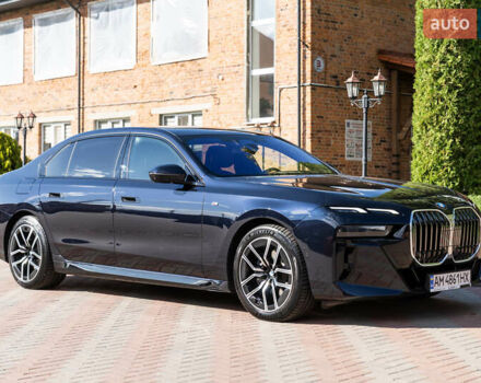 Синий БМВ 7 Серия, объемом двигателя 2.99 л и пробегом 44 тыс. км за 129000 $, фото 7 на Automoto.ua