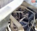 Синий БМВ И3, объемом двигателя 0 л и пробегом 129 тыс. км за 12999 $, фото 24 на Automoto.ua