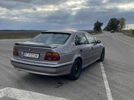 БМВ М5 1999 в Апостолове на Automoto.ua Серый БМВ М5, объемом двигателя 2.5 л и пробегом 430 тыс. км за 2600 $, фото 1 на Automoto.ua