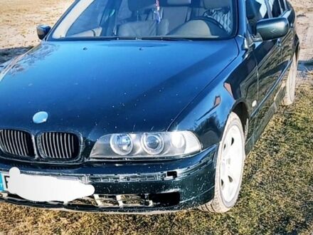 БМВ М5 2002 у Рокитне на Automoto.ua Зелений БМВ М5, об'ємом двигуна 3 л та пробігом 200 тис. км за 2500 $, фото 1 на Automoto.ua
