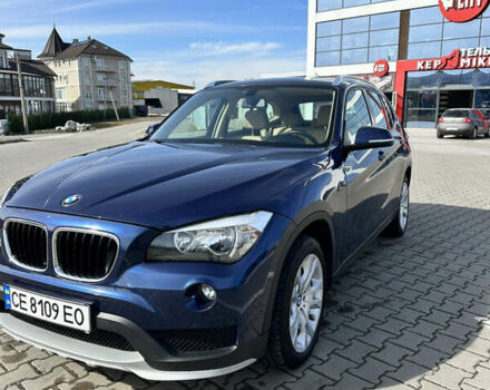 Синій БМВ Х1, об'ємом двигуна 2 л та пробігом 220 тис. км за 15100 $, фото 1 на Automoto.ua