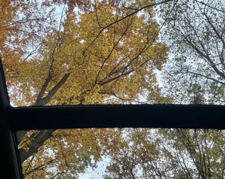 Білий БМВ Х3, об'ємом двигуна 3 л та пробігом 64 тис. км за 39999 $, фото 76 на Automoto.ua