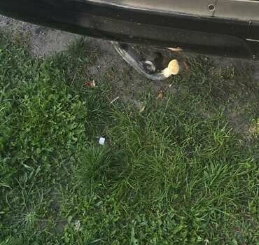 Черный БМВ Х3, объемом двигателя 3 л и пробегом 129 тыс. км за 41500 $, фото 19 на Automoto.ua