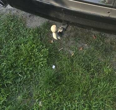 Черный БМВ Х3, объемом двигателя 3 л и пробегом 129 тыс. км за 41500 $, фото 10 на Automoto.ua