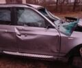 Сірий БМВ Х3, об'ємом двигуна 2 л та пробігом 280 тис. км за 5000 $, фото 3 на Automoto.ua