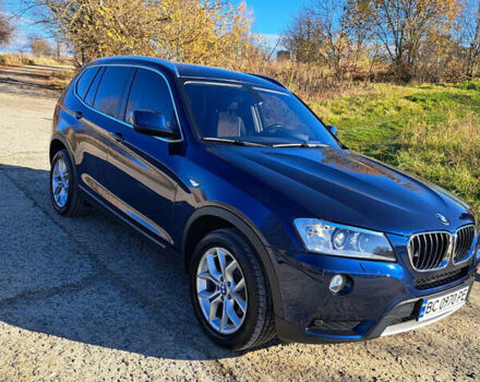 Синий БМВ Х3, объемом двигателя 2 л и пробегом 263 тыс. км за 15999 $, фото 10 на Automoto.ua