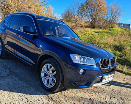 Синий БМВ Х3, объемом двигателя 2 л и пробегом 263 тыс. км за 15999 $, фото 9 на Automoto.ua