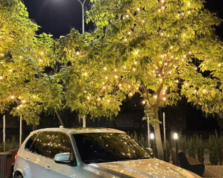 БМВ Х5 М 2009 в Черновцах на Automoto.ua Серый БМВ Х5 М, объемом двигателя 4.39 л и пробегом 174 тыс. км за 21000 $, фото 1 на Automoto.ua