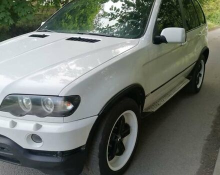 Білий БМВ Х5, об'ємом двигуна 4.4 л та пробігом 300 тис. км за 6200 $, фото 16 на Automoto.ua