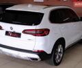 Білий БМВ Х5, об'ємом двигуна 3 л та пробігом 81 тис. км за 45900 $, фото 13 на Automoto.ua