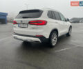 Білий БМВ Х5, об'ємом двигуна 3 л та пробігом 101 тис. км за 47500 $, фото 8 на Automoto.ua