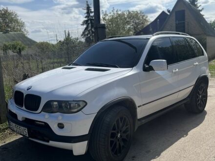 БМВ Х5 2003 в Белой Церкве на Automoto.ua Белый БМВ Х5, объемом двигателя 3 л и пробегом 270 тыс. км за 5700 $, фото 1 на Automoto.ua
