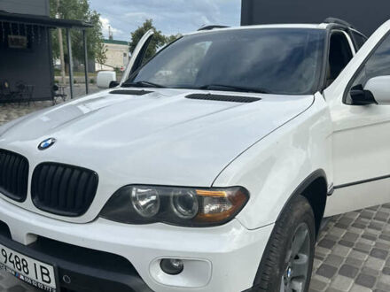 БМВ Х5 2005 у Гадяче на Automoto.ua Білий БМВ Х5, об'ємом двигуна 4.4 л та пробігом 275 тис. км за 8400 $, фото 1 на Automoto.ua