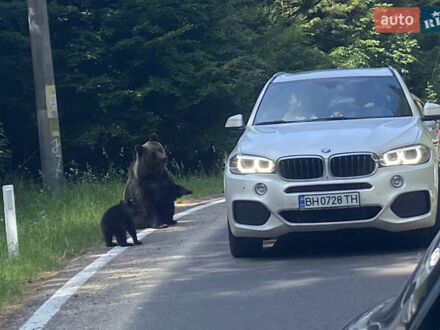 Білий БМВ Х5, об'ємом двигуна 2.99 л та пробігом 280 тис. км за 29000 $, фото 1 на Automoto.ua