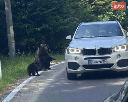 Белый БМВ Х5, объемом двигателя 2.99 л и пробегом 280 тыс. км за 29000 $, фото 1 на Automoto.ua