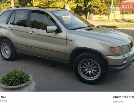 БМВ Х5 2003 в Черновцах на Automoto.ua Бежевый БМВ Х5, объемом двигателя 3 л и пробегом 499 тыс. км за 7000 $, фото 1 на Automoto.ua