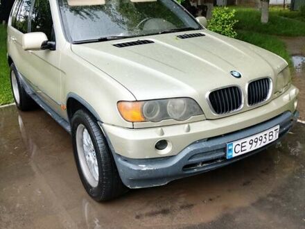 БМВ Х5 2003 в Черновцах на Automoto.ua Бежевый БМВ Х5, объемом двигателя 3 л и пробегом 499 тыс. км за 7000 $, фото 1 на Automoto.ua