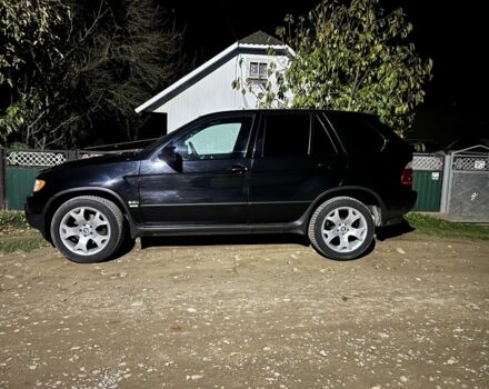 БМВ Х5 2003 в Черновцах на Automoto.ua Черный БМВ Х5, объемом двигателя 3 л и пробегом 515 тыс. км за 5605 $, фото 2 на Automoto.ua