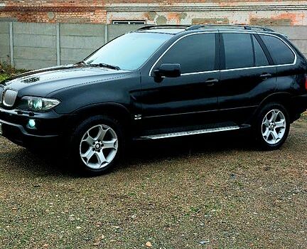 Черный БМВ Х5, объемом двигателя 3 л и пробегом 260 тыс. км за 9600 $, фото 12 на Automoto.ua