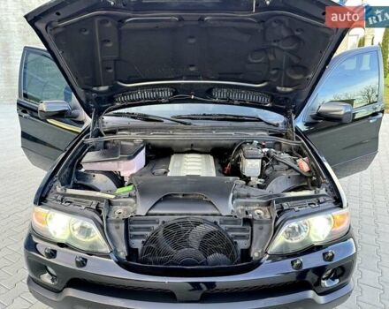 БМВ Х5 2005 в Черновцах на Automoto.ua Черный БМВ Х5, объемом двигателя 3 л и пробегом 273 тыс. км за 13700 $, фото 83 на Automoto.ua