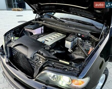 БМВ Х5 2005 в Черновцах на Automoto.ua Черный БМВ Х5, объемом двигателя 3 л и пробегом 273 тыс. км за 13700 $, фото 85 на Automoto.ua