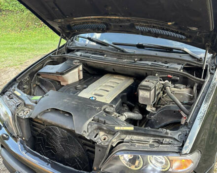 БМВ Х5 2005 в Тернополе на Automoto.ua Черный БМВ Х5, объемом двигателя 3 л и пробегом 405 тыс. км за 10500 $, фото 12 на Automoto.ua