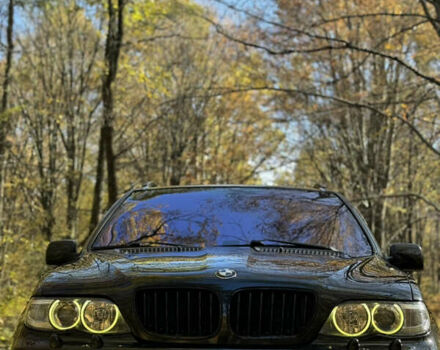 Черный БМВ Х5, объемом двигателя 2.99 л и пробегом 376 тыс. км за 13800 $, фото 12 на Automoto.ua