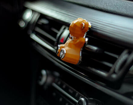 Черный БМВ Х5, объемом двигателя 2 л и пробегом 211 тыс. км за 39900 $, фото 13 на Automoto.ua