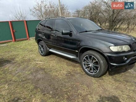 БМВ Х5 2000 в Радомышле на Automoto.ua Черный БМВ Х5, объемом двигателя 3 л и пробегом 300 тыс. км за 6700 $, фото 1 на Automoto.ua