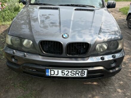 Черный БМВ Х5, объемом двигателя 3 л и пробегом 430 тыс. км за 5200 $, фото 1 на Automoto.ua