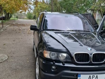 БМВ Х5 2001 в Жидачов на Automoto.ua Черный БМВ Х5, объемом двигателя 3 л и пробегом 323 тыс. км за 9800 $, фото 1 на Automoto.ua