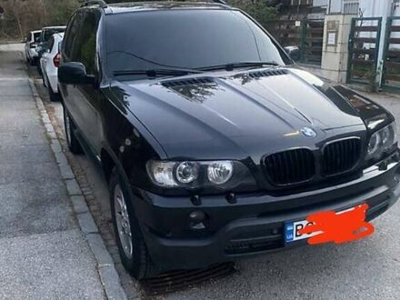 БМВ Х5 2001 у Стрые на Automoto.ua Чорний БМВ Х5, об'ємом двигуна 3 л та пробігом 318 тис. км за 8500 $, фото 1 на Automoto.ua