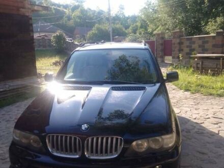 БМВ Х5 2002 в Мукачеве на Automoto.ua Черный БМВ Х5, объемом двигателя 2.98 л и пробегом 365 тыс. км за 8400 $, фото 1 на Automoto.ua