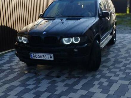 БМВ Х5 2002 в Воловце на Automoto.ua Черный БМВ Х5, объемом двигателя 2.93 л и пробегом 502 тыс. км за 8500 $, фото 1 на Automoto.ua