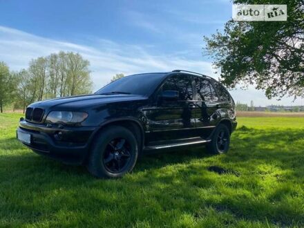 БМВ Х5 2002 у Конотопе на Automoto.ua Чорний БМВ Х5, об'ємом двигуна 3 л та пробігом 410 тис. км за 9850 $, фото 1 на Automoto.ua