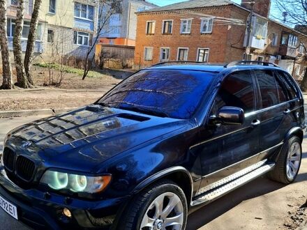БМВ Х5 2002 у Глухове на Automoto.ua Чорний БМВ Х5, об'ємом двигуна 4.4 л та пробігом 314 тис. км за 8000 $, фото 1 на Automoto.ua