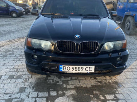 БМВ Х5 2002 в Тернополе на Automoto.ua Черный БМВ Х5, объемом двигателя 2.9 л и пробегом 422 тыс. км за 7999 $, фото 1 на Automoto.ua