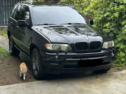 Черный БМВ Х5, объемом двигателя 3 л и пробегом 300 тыс. км за 3950 $, фото 1 на Automoto.ua