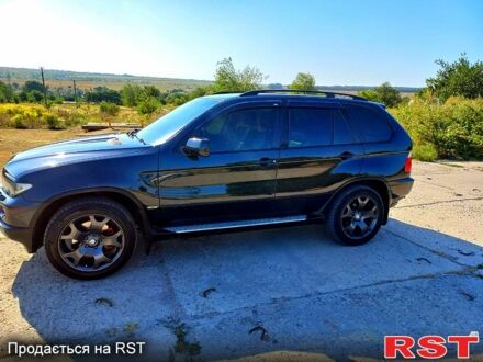 БМВ Х5 2003 в Днепре (Днепропетровске) на Automoto.ua Черный БМВ Х5, объемом двигателя 3 л и пробегом 320 тыс. км за 11000 $, фото 1 на Automoto.ua