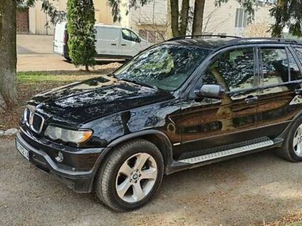 БМВ Х5 2003 у Дубно на Automoto.ua Чорний БМВ Х5, об'ємом двигуна 4.4 л та пробігом 370 тис. км за 5900 $, фото 1 на Automoto.ua