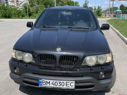 БМВ Х5 2003 в Сумах на Automoto.ua Черный БМВ Х5, объемом двигателя 4.4 л и пробегом 370 тыс. км за 9500 $, фото 1 на Automoto.ua
